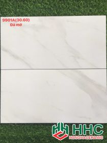 đá mờ giá rẻ 30x60 9901